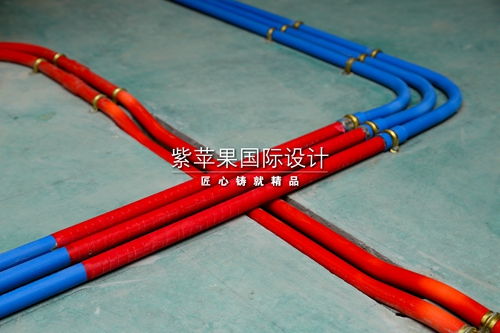 無錫紫蘋果裝飾