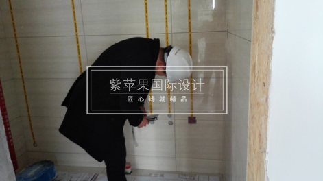 無錫紫蘋果裝飾