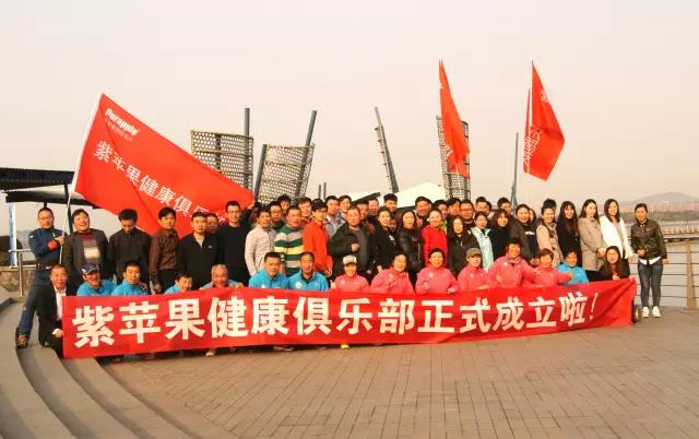 無錫紫蘋果裝飾