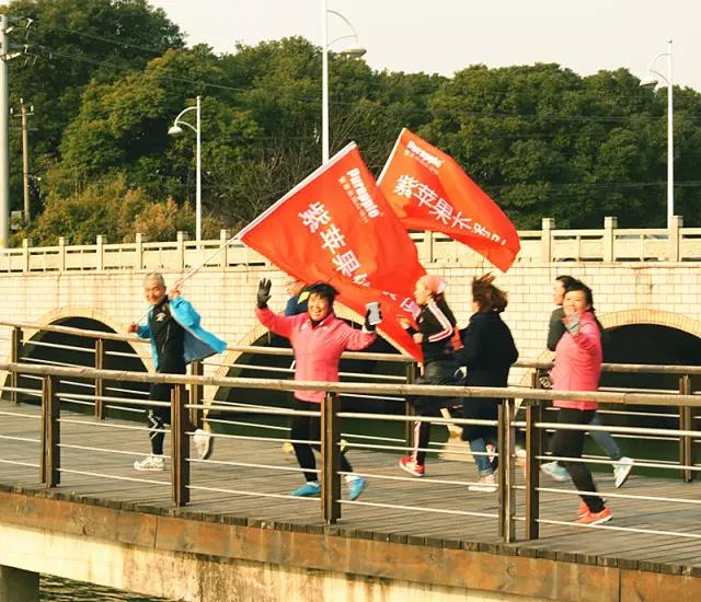 無錫紫蘋果裝飾