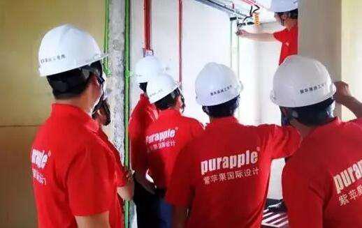 無錫紫蘋果裝飾