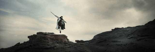 無錫紫蘋果裝飾