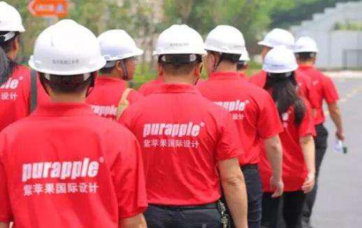 無錫紫蘋果裝飾