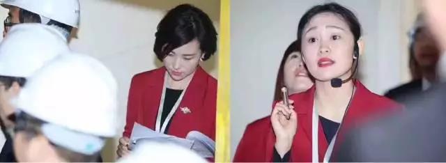 無錫紫蘋果裝飾