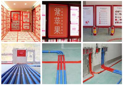 無錫紫蘋果裝飾