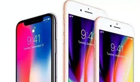 無錫紫蘋果裝飾