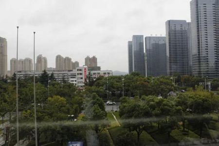 無錫紫蘋果裝飾