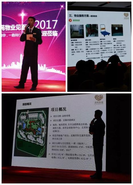 無錫紫蘋果裝飾