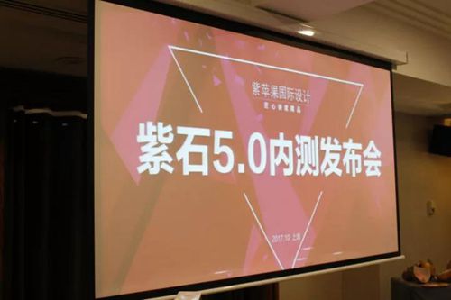 無(wú)錫紫蘋果裝飾