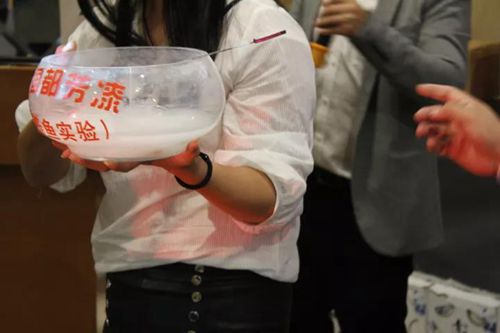 無(wú)錫紫蘋果裝飾