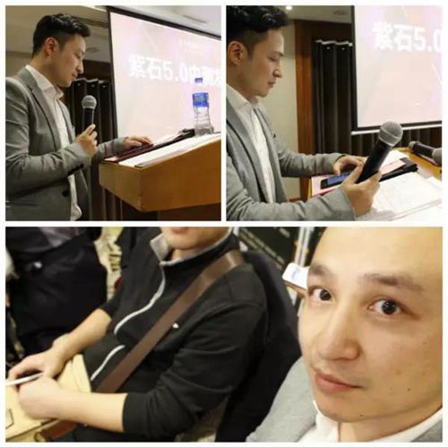 無(wú)錫紫蘋果裝飾