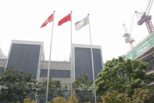 無(wú)錫紫蘋果裝飾