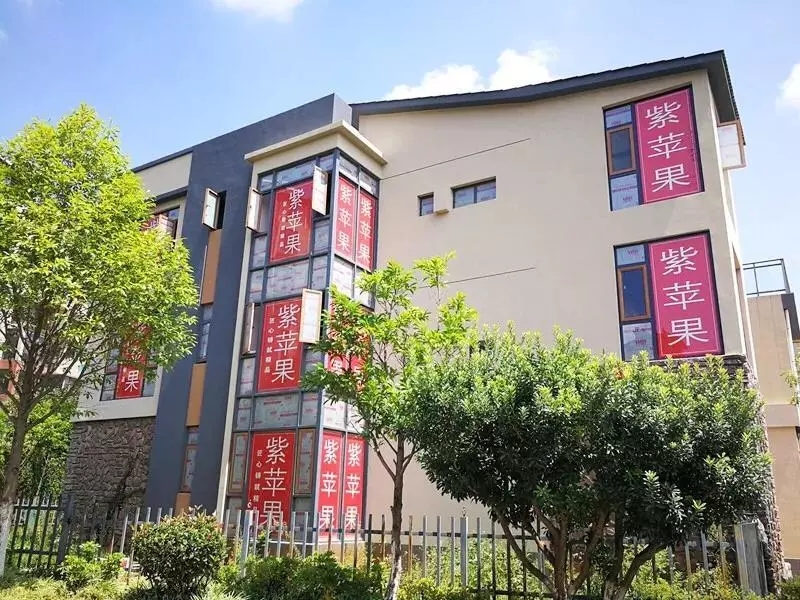 無錫紫蘋果裝飾.jpg